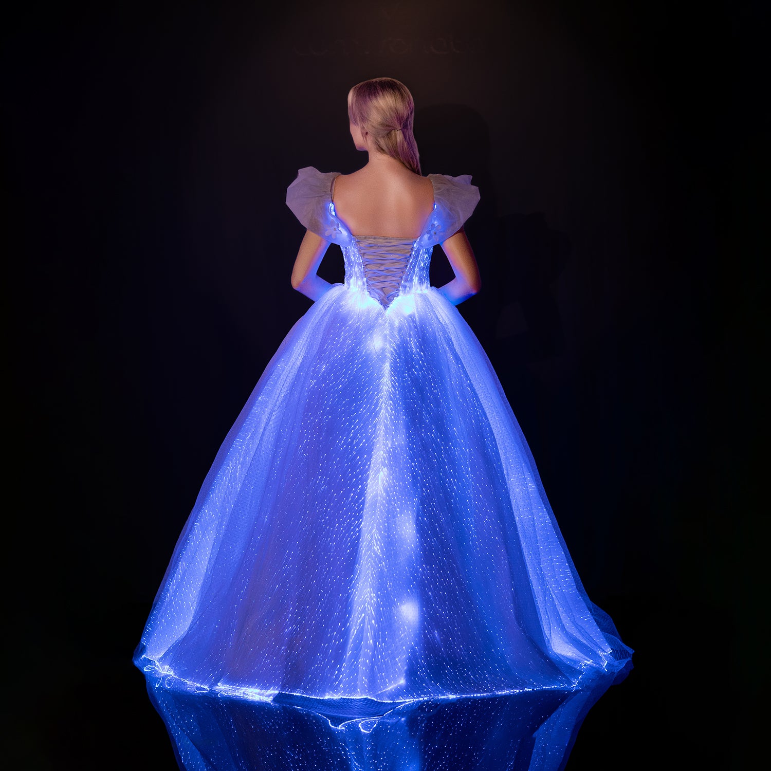 Cinderella Lights Up Princess Wedding Dress – LUMISONATA