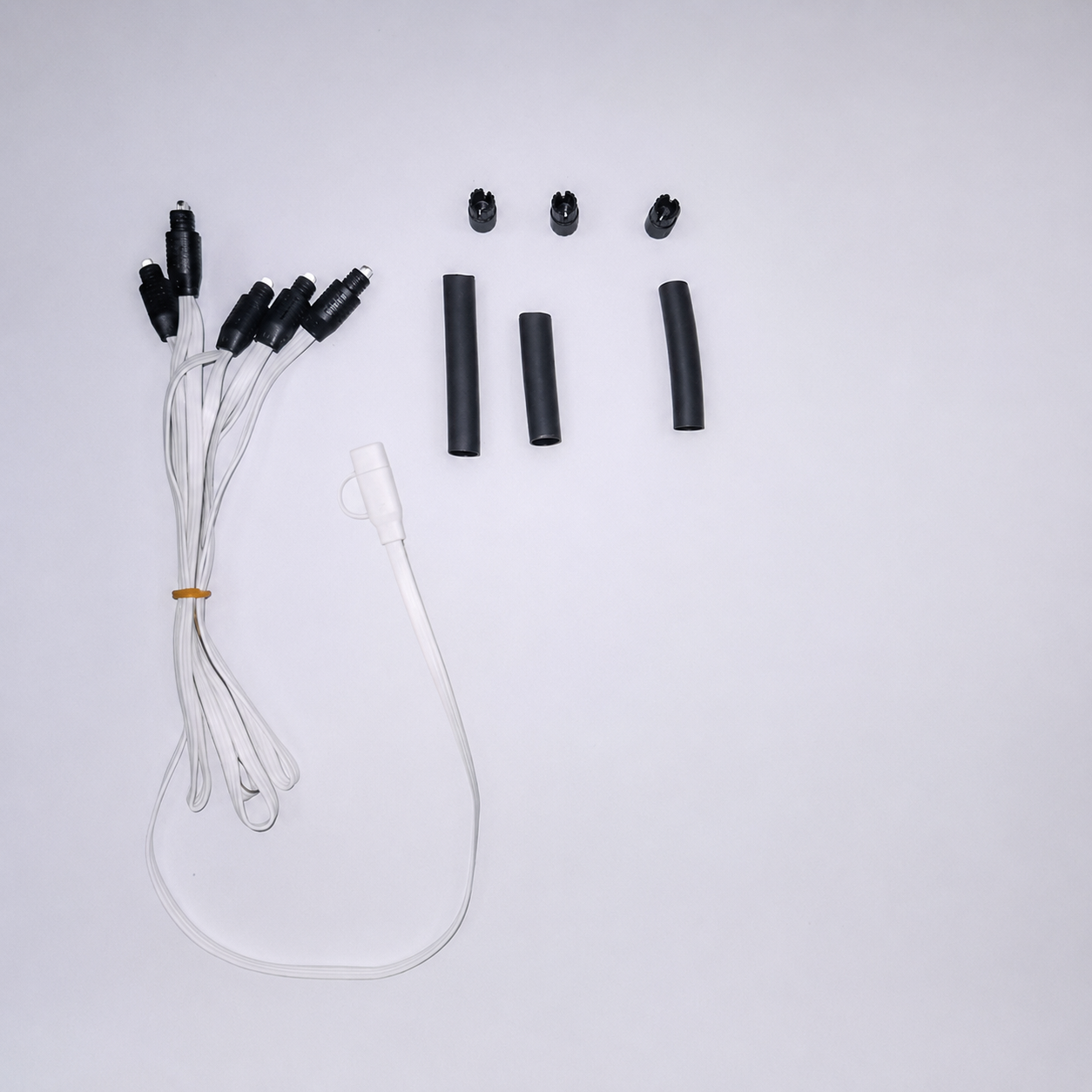 Lamp cord