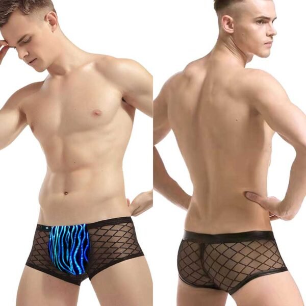 sexy panties for men
