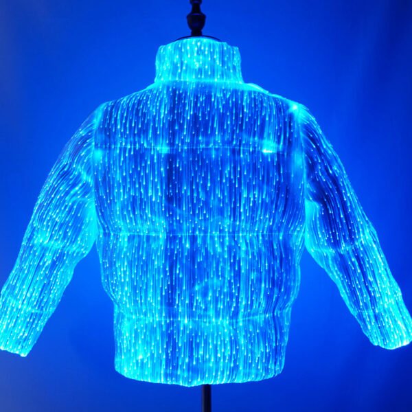 puffer jacket shiny Back