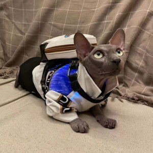 Pet backpacks and clothing