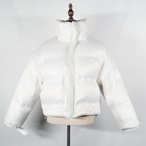 Shiny Puffer Jacket: Iridescent Ski Companion, Captivating Slope Style - Lumisonata - Image 3