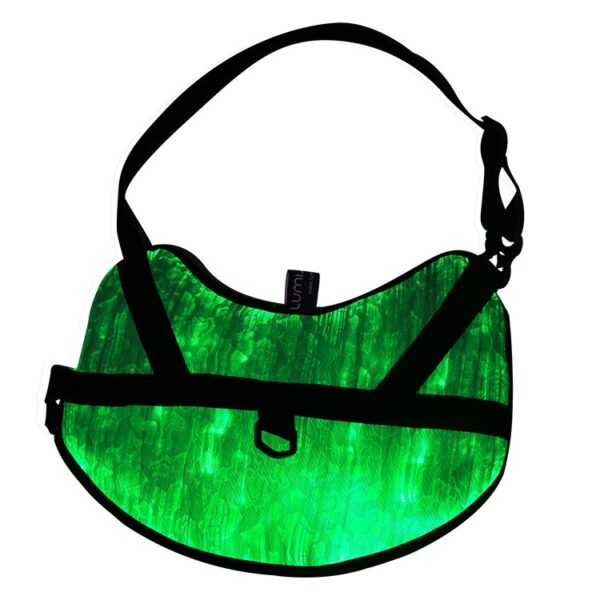 Light Up Dog Harness: Stay Visible During Night Walks with LED Harness - Lumisonata - Image 2