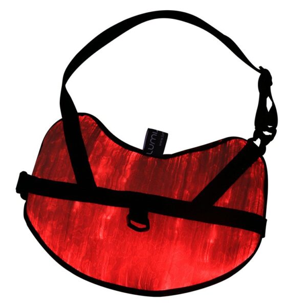 Light Up Dog Harness: Stay Visible During Night Walks with LED Harness - Lumisonata - Image 3
